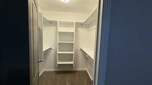 Walk in closet with dark colored carpet
