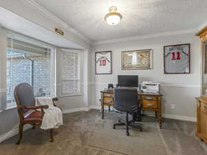 Carpeted office space with crown molding and a textured ceiling