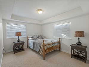 Bedroom featuring a tray ceiling, light colored carpet, and a textured ceiling