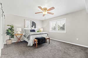 Carpeted primary bedroom with ensuite bathroom, a barn door, plantation shutters and ceiling fan