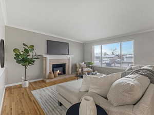 Living room with a tile fireplace, ornamental molding, and wood finished floors