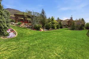 View of yard featuring a pergola