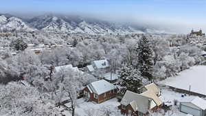 Snowy aerial view featuring a forest view