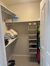 Walk in closet featuring light carpet