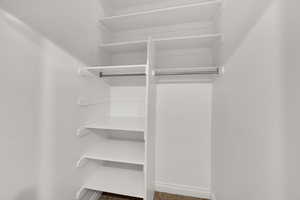 Spacious closet featuring dark colored carpet