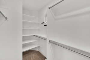 Spacious closet with dark carpet