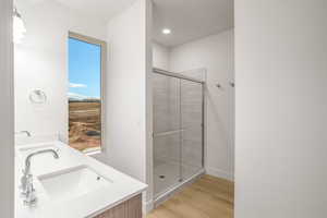 Bathroom with double vanity, a shower stall, light wood-style floors, and recessed lighting