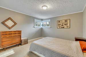 Carpeted bedroom with a textured ceiling and baseboards