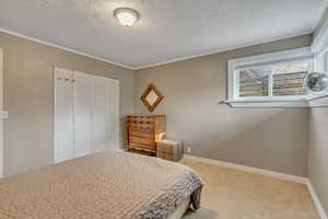 Bedroom with carpet flooring, a textured ceiling, a closet, and ornamental molding
