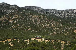 Mountain view featuring a forest