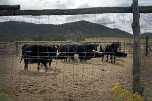 Stable with a view of countryside and a mountain view