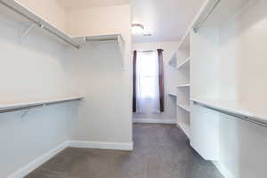 Walk in closet with dark colored carpet