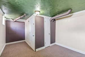 Finished below grade area with carpet flooring and baseboards