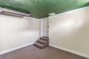 Finished basement featuring carpet flooring and stairway