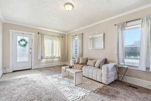 Living area with ornamental molding, a textured ceiling, and carpet floors