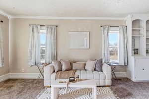 Carpeted living room with ornamental molding, plenty of natural light, and a textured ceiling