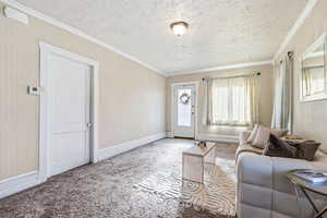 Living room with ornamental molding, carpet flooring, and a textured ceiling