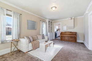 Living area with a textured ceiling, carpet flooring, plenty of natural light, crown molding, and beverage cooler