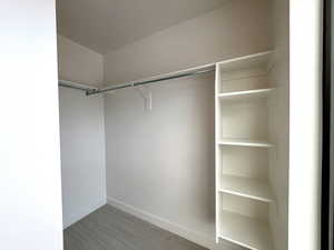 Large primary walk in closet featuring carpet