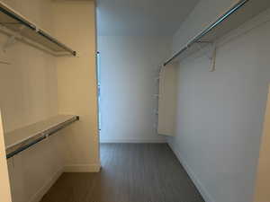 Spacious Primary closet with carpet