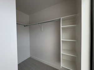 Spacious Primary closet with carpet