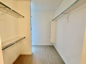 Large primary walk in closet featuring light colored carpet