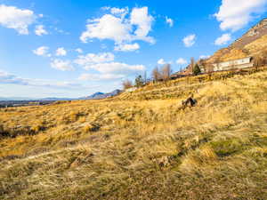 View of mountain backdrop with rural landscape