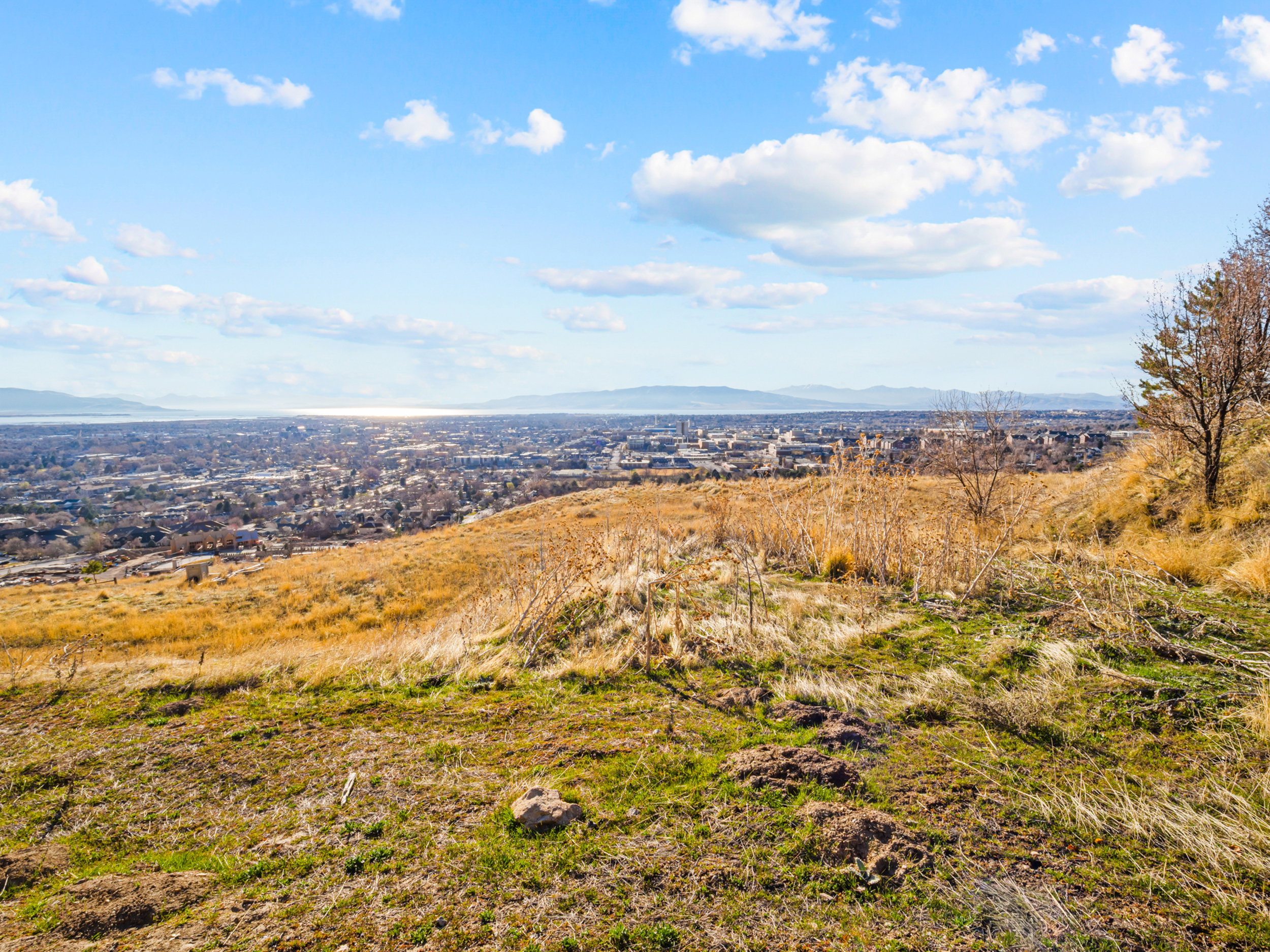 View of mountain background