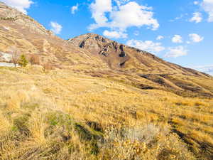 View of mountain background