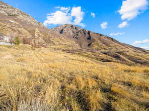 View of mountain background