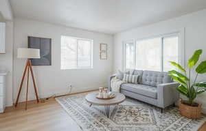 Living room featuring plenty of natural light and wood finished floors