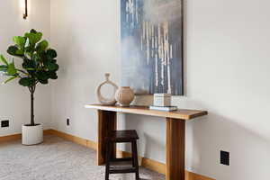 Detailed view of carpet