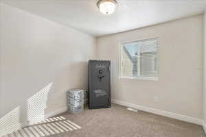 Unfurnished bedroom with carpet floors and a textured ceiling
