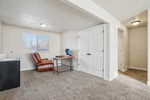 Sitting room with a textured ceiling and carpet floors