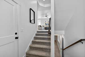 Stairway featuring carpet flooring and ceiling fan