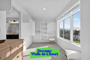 Spacious closet featuring light colored carpet