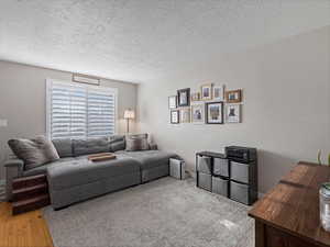 Living room featuring a textured ceiling