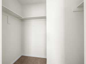 Spacious closet featuring carpet flooring