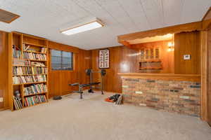 Recreation room with wet bar, carpet and wooden walls