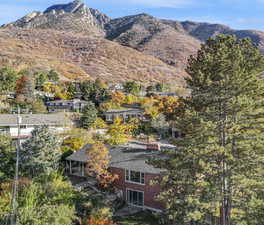 Aerial view of back yard and mountain background