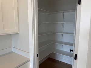 spacious pantry