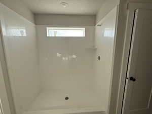 Primary bathroom shower