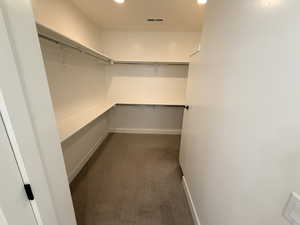 Spacious closet featuring dark colored carpet