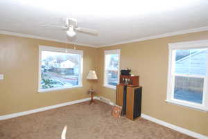 Unfurnished room featuring carpet, crown molding, and ceiling fan