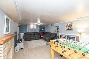 Game room with carpet flooring
