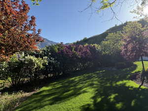 View of grassy yard featuring a mountain view