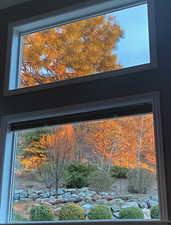 Detailed view of a tree filled landscape