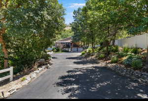 View of asphalt driveway