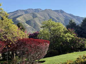 View of mountain backdrop