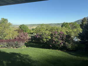 View of green lawn with a mountain view